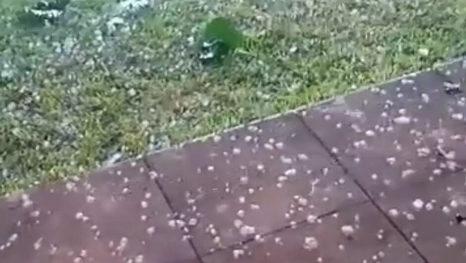 Τύρναβος: Μεγάλες καταστροφές σε δενδροκαλλιέργειες από την ισχυρή χαλαζόπτωση