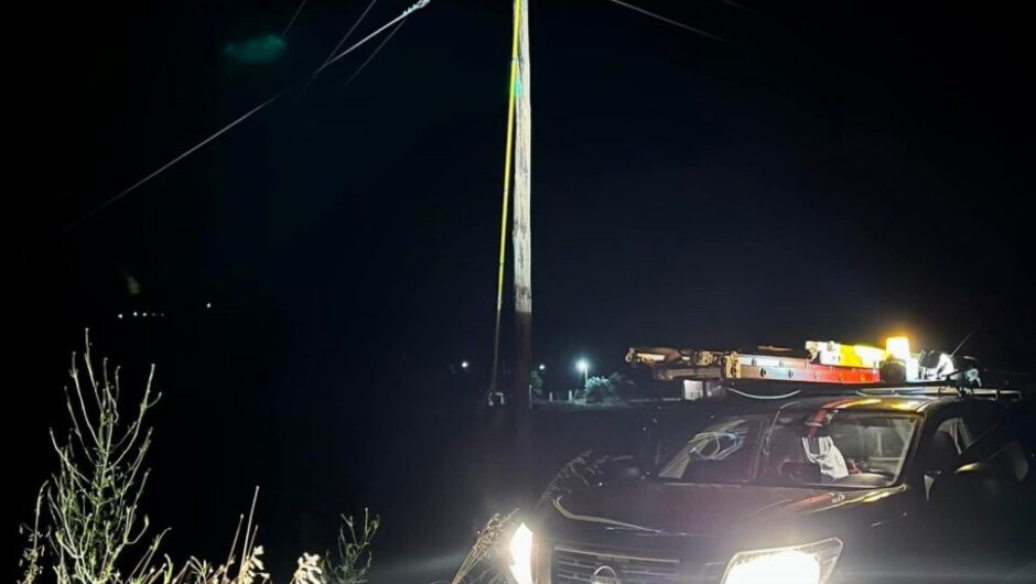 Ένας… πελαργός, βύθισε στο σκοτάδι τα μισά Τρίκαλα το βράδυ του Πάσχα