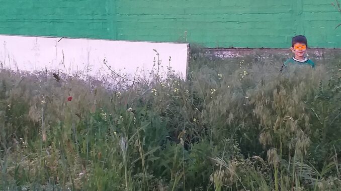 Ζούγκλα» το νέο γήπεδο ποδοσφαίρου του Αμπελώνα