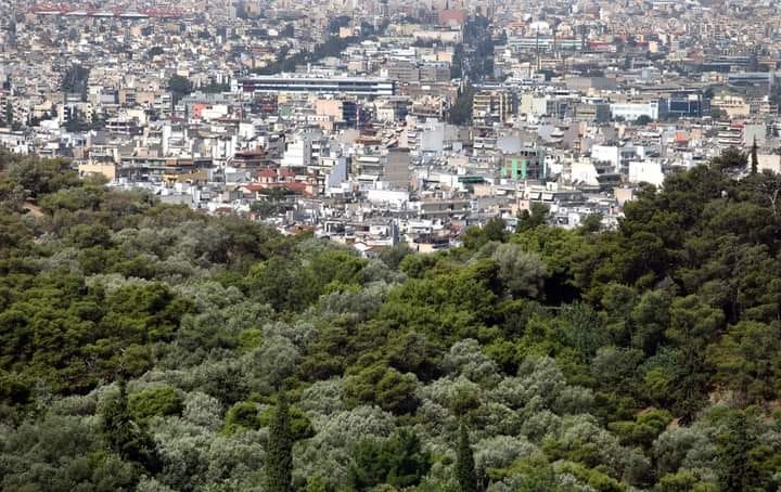 Τι είναι ο ΟΔΥΣΣΕΑΣ και πώς προστατεύει τη βασική σου κατοικία ή/και μικρομεσαία επιχείρηση από εξώσεις και πλειστηριασμούς