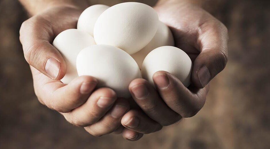 Ιστορίες με γιαούρτια και αυγά