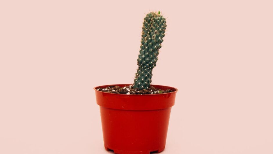 10+2 πράγματα που ίσως δεν γνωρίζεις για τις στύσεις