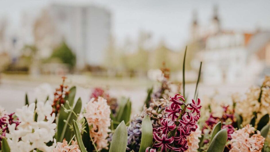 10 τραγούδια για τον Μάη, τον ομορφότερο μήνα του χρόνου