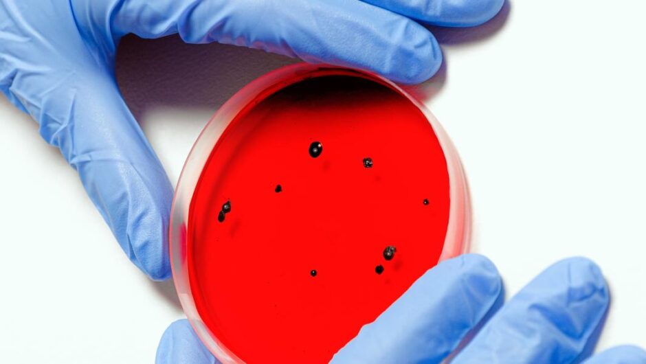 Παγκόσμιος Οργανισμός Υγείας / Τι είναι η «νόσος X» και τι σημαίνουν τα χαρακτηριστικά της