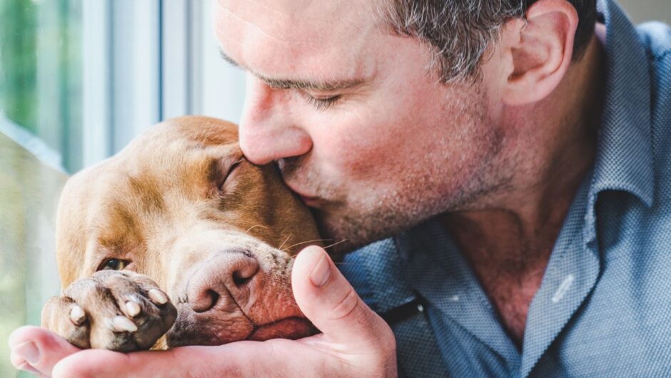 Πώς συμπεριφέρονται οι σκύλοι όταν ανιχνεύσουν καρκίνο στον άνθρωπο