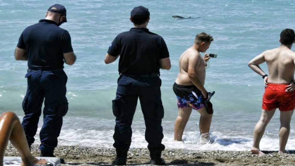 Κόρινθος: Ναυαγοσώστες βοηθούν δελφίνι που έχασε τον προσανατολισμό του και βγήκε σε παραλία