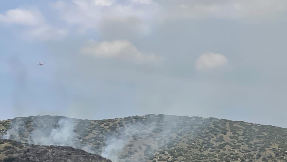 Λάρισα: Συνεχίζονται οι ρίψεις νερού από αέρος στο Κυψελοχώρι… (βίντεο)