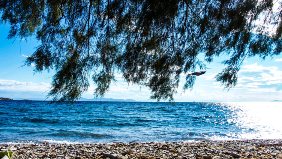 Μαγνησία: Αυτές οι 13 παραλίες είναι ακατάλληλες για κολύμπι