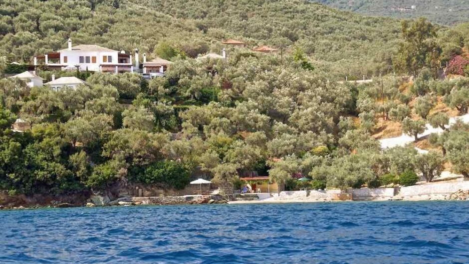 Πήλιο: “Εμπόλεμη ζώνη” συγκρότημα κατοικιών – Αγριο ξύλο “παίζουν” οι γείτονες