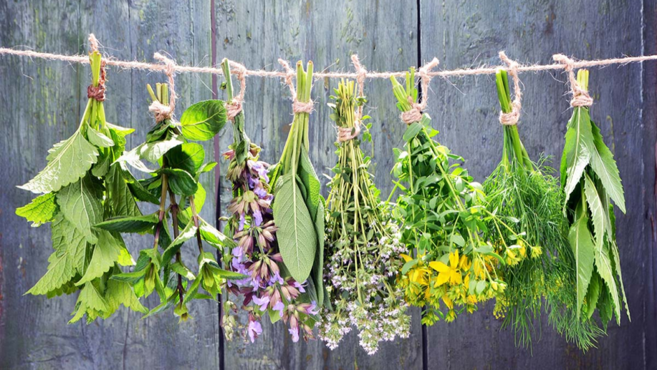 Τρία βότανα που ηρεμούν το έντερο και βοηθούν το πεπτικό