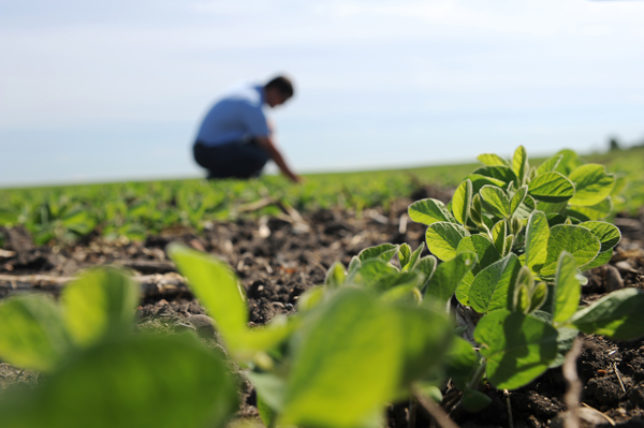 Πλήρωσε 20.000 € για χωράφια στην Ζαγορά και δεν είδε ποτέ… συμβόλαια!