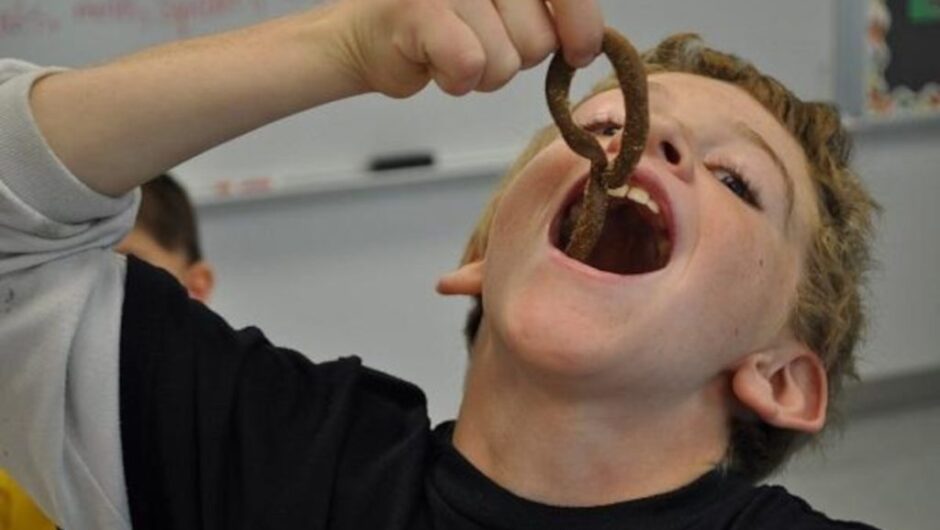 Θα τρώμε μπιφτέκι ακρίδας και σουτζουκάκια γρύλου – Εγκρίνονται τα έντομα ως τρόφιμα στην ΕΕ