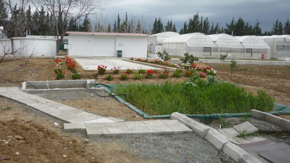 Πρωτοποριακό πρόγραμμα για τη γεωργική ρύπανση στο Πανεπιστήμιο Θεσσαλίας προστατεύει το περιβάλλον με… μανιτάρια!