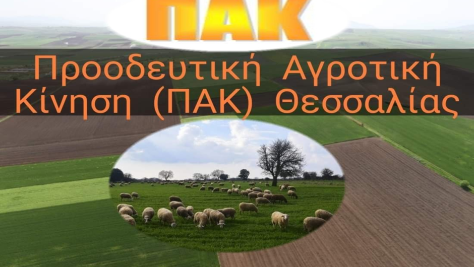 Τάχιστες αποζημιώσεις-ενισχύσεις ζητά η ΠΑΚ Θεσσαλίας για τις φονικές πυρκαγιές στη Μαγνησία