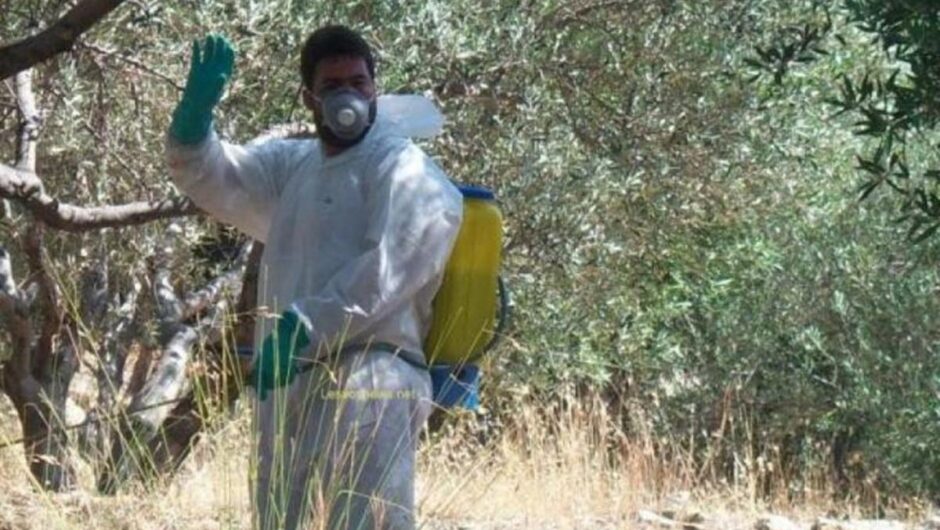 Περιφέρεια Θεσσαλίας: Διενέργεια γενικού δολωματικού ψεκασμού στους Δήμους Αγιάς, Τεμπών, Τυρνάβου