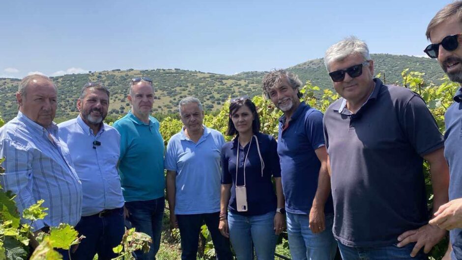 Σε επιφυλακή η Περιφέρεια Θεσσαλίας για περονόσπορο και ακαρπία σε καλλιέργειες