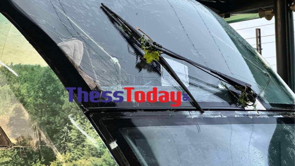 «SOS» από τους μηχανοδηγούς: Σε μια εβδομάδα ακινητοποιήθηκαν ακόμη τέσσερις αμαξοστοιχίες λόγω… κλαδιών – Η εικόνα του τρένου που είχε προορισμό τη Λάρισα