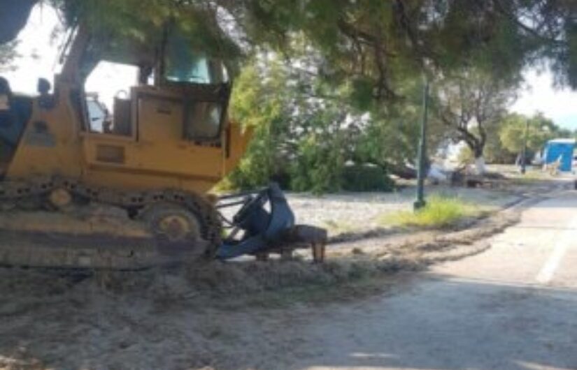 Πέντε συλλήψεις – οι δύο ανήλικοι – για τις καταστροφές στα Μεσάγγαλα