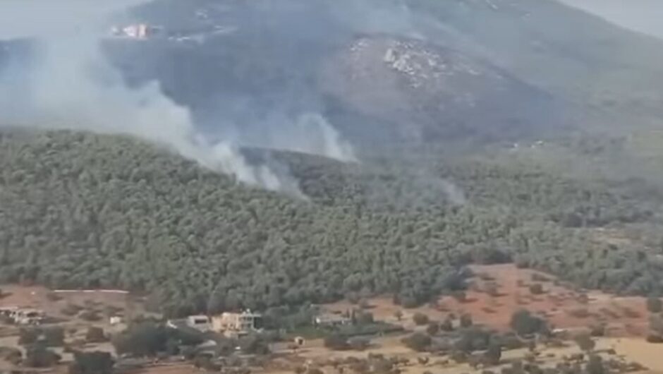 Βίντεο από το drone της Πυροσβεστικής: Κρανίου τόπος η Νέα Ζωή Μάνδρας – Πώς πέρασε η φωτιά