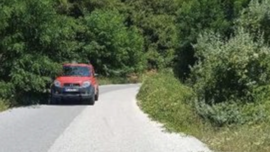 Λάρισα: Ο διπλής κατεύθυνσης δρόμος που έγινε  μονόδρομος από την πυκνή βλάστηση – Συχνές συγκρούσεις αυτοκίνητων και μηδενική ορατότητα (φωτο)  