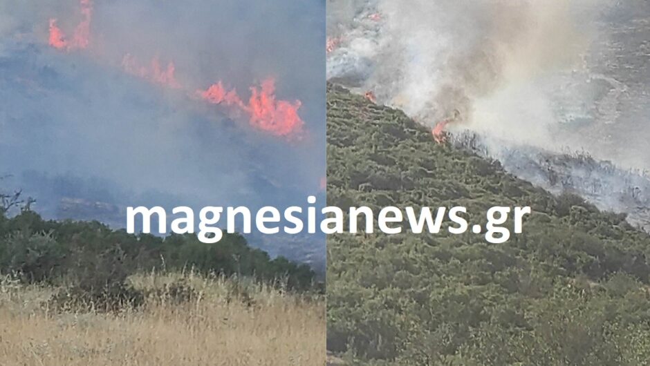 Μαγνησία: Έσβησε η φωτιά στις Γλαφυρές