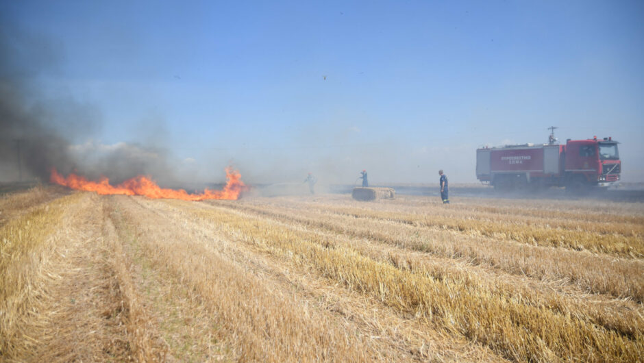 Λάρισα: Φωτιά στην περιοχή της Χάλκης – Κοντά στην εθνική οδό (φωτ.)