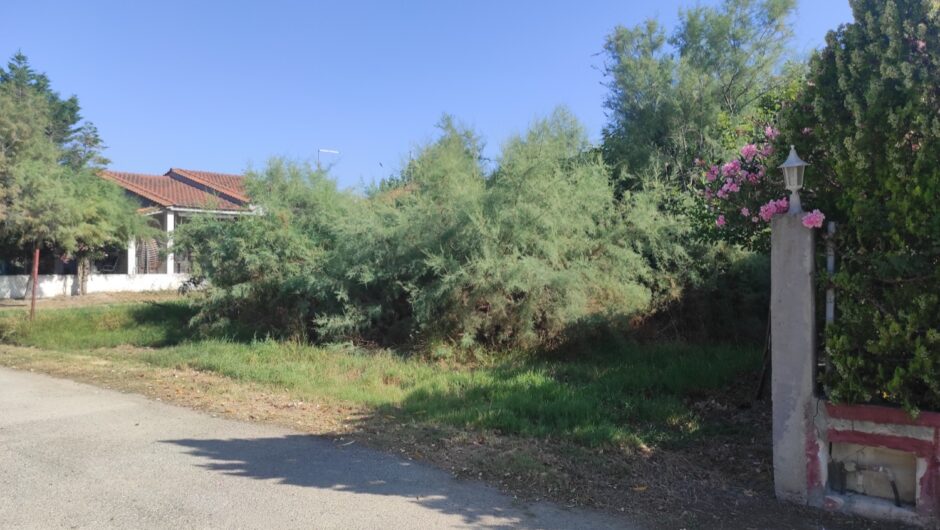 Παρατημένα οικόπεδα ο «φόβος και ο τρόμος» Λαρισαίων με εξοχικά στα παράλια (φωτο)