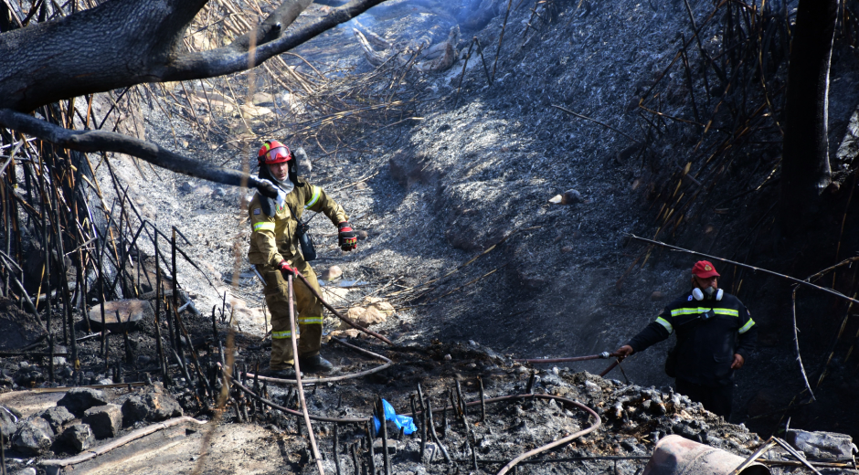Πολιτικές τρίχες πάνω από τις στάχτες