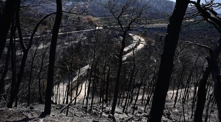 Καμένη κυβέρνηση