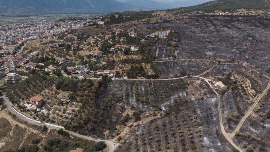 Ευθύμης Λέκκας / Τι πρέπει να γίνει για τις πυρόπληκτες περιοχές – Οι 10 δράσεις