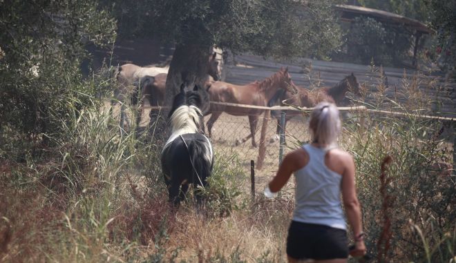 Κάτι (στραβό) συμβαίνει εδώ…