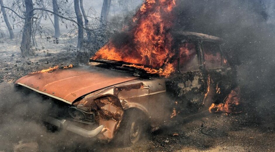 Δικό τους έργο…