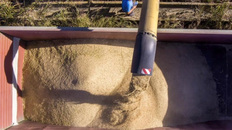 Αγρότες / Νέο μπάχαλο με τις δηλώσεις για τις επιδοτήσεις