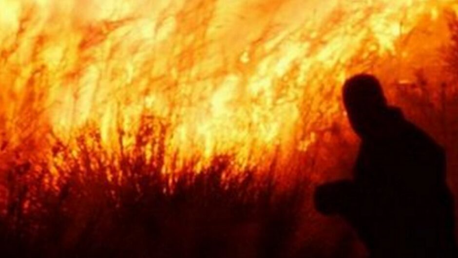 Κάρυστος: «Μου άρεσε να βλέπω τα πυροσβεστικά να σβήνουν τις φλόγες», είπε 20χρονος που ομολόγησε εμπρησμούς