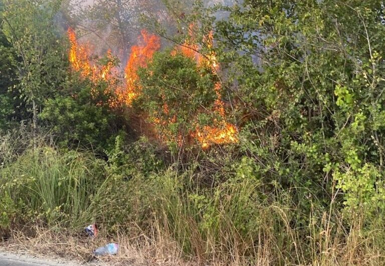 Υψηλός κίνδυνος πυρκαγιάς στην Θεσσαλία- Προβλέπονται άνεμοι 7 Μποφόρ