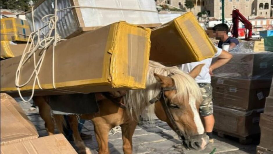 Μιχάλης Λεβεντογιάννης και Εριέττα Κούρκουλου ξεσπούν για την υπερφόρτωση των ζώων στην Ύδρα!