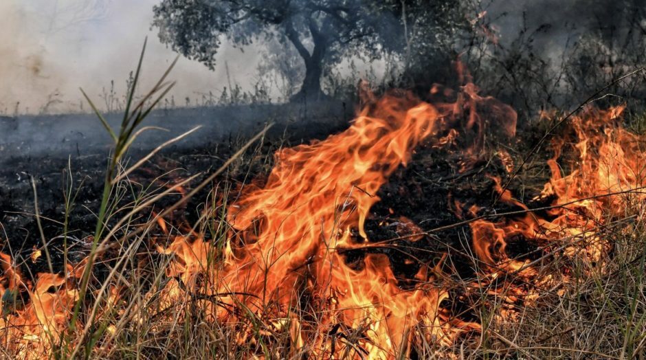 Νέο σοκ στη Νέα Αγχίαλο- Έβαλε φωτιά σε οικόπεδο, μπροστά από το εξοχικό του και κοντά σε τροχόσπιτα