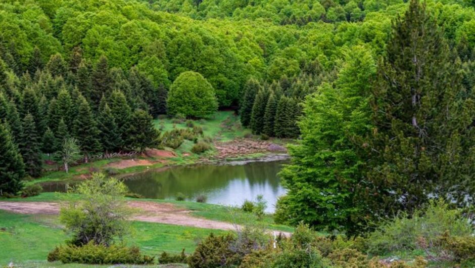 Αυτή είναι η άγνωστη λίμνη δίπλα σε ορεινό χωριό της Λάρισας – Η απόκοσμη ομορφιά της και ο “κρυμμένος θησαυρός” της (φωτο)