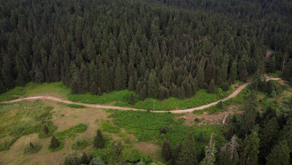 «Περτουλιώτικα Λιβάδια»: Ηρεμία και πράσινο φυσικό τοπίο (φωτ. & βίντεο)
