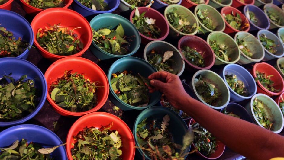 ΠΟΥ: Διοργανώνει την Παγκόσμια Σύνοδο Παραδοσιακής Ιατρικής στην Ινδία