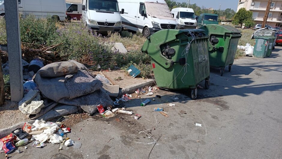 Λάρισα: Απόκοσμες εικόνες στη Νέα Σμύρνη: Διαλυμένοι κάδοι, σωροί σκουπιδιών και δυσοσμία (φωτό)