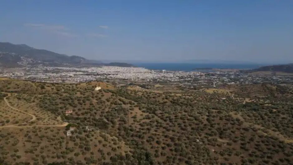 «Θάλαμος αερίων» ο Βόλος – Ο καπνός από τις φωτιές έφερε τεράστιες υπερβάσεις στην αέρια ρύπανση (στοιχεία)