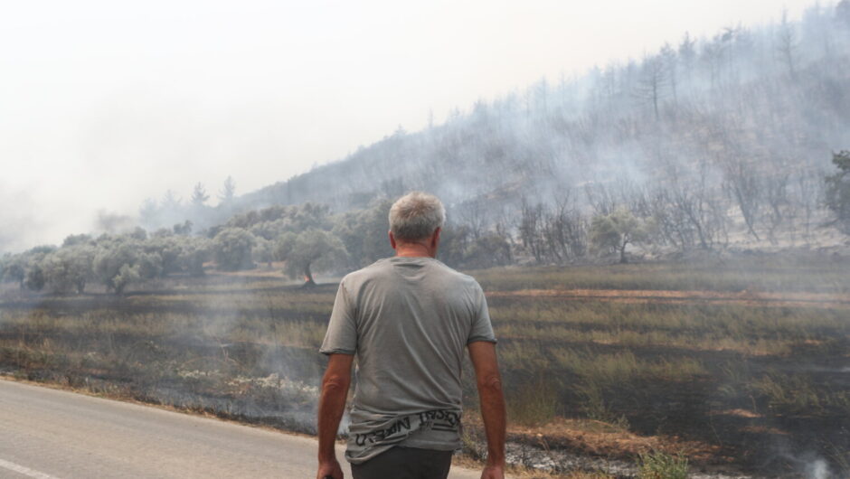 Ανεπανόρθωτη η καταστροφή στο δάσος της Δαδιάς – «Χρειάζεται περισσότερα από 150 χρόνια για να επανέλθει»