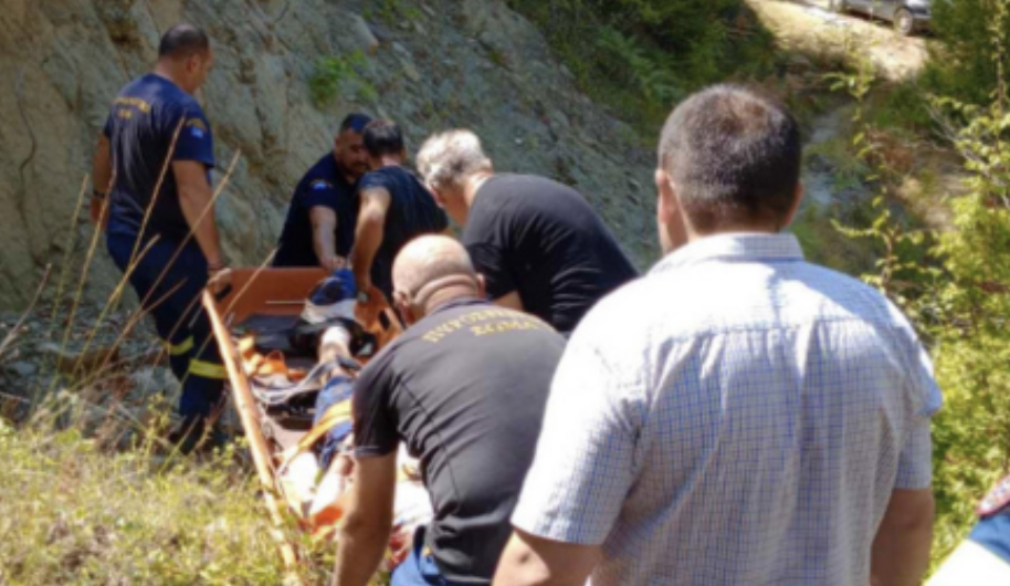 Αρκούδα επιτέθηκε, δάγκωσε και τραυμάτισε σοβαρά Τρικαλινό! (φωτο)