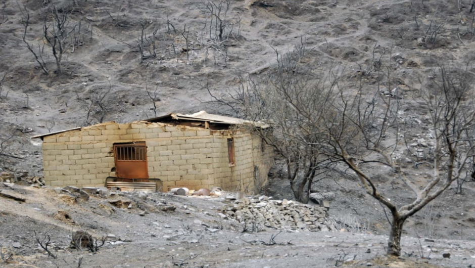 Φωτιά στην Ηλεία: 16 χρόνια μετά δεν άλλαξε τίποτα – «Δεν υπάρχουν αντιπυρικές ζώνες και ο δρόμος παραμένει ο ίδιος»