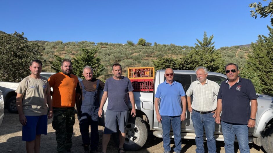 Ολοκληρώθηκε με επιτυχία ο εμπλουτισμός βιοτόπων με θηράματα σε όλη την περιφέρεια της Θεσσαλίας