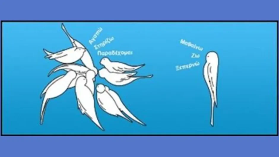 Επιστολή-διαμαρτυρία για αποκλεισμό καρκινοπαθών από κατασκήνωση στην Καβάλα