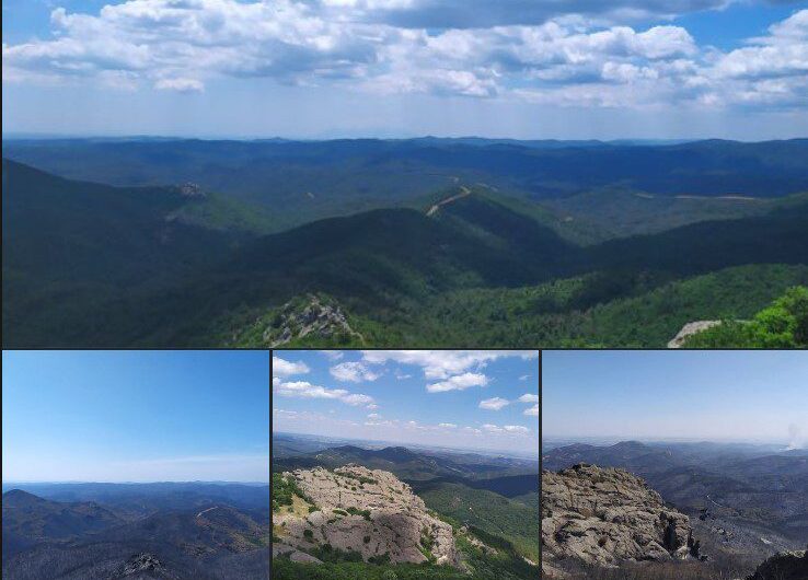 Αποκαρδιωτικές εικόνες: Το Εθνικό Πάρκο Δαδιάς πριν και μετά την πύρινη λαίλαπα