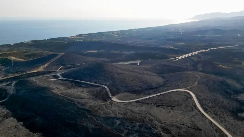 Χωρίς αρπακτικά ποιος θα την προστατέψει από τα «αρπακτικά»;