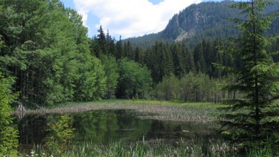 Τι κάνει τα ατέλειωτα βουνά της Βουλγαρίας να μην καίγονται όπως της Ελλάδας